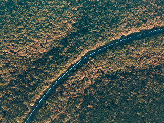 The queue of trucks standing on the road. Top view of the trucks.