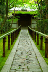 大徳寺高桐院の参道