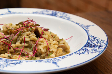 Risotto of vitello with funghi porcini sauce and micro-leaf of beet