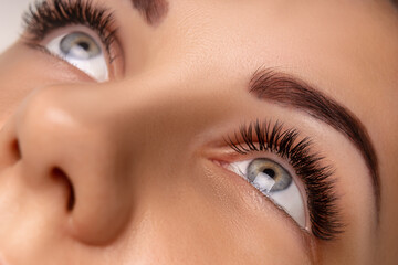 Eyelash Extension Procedure. Close up view of beautiful female eye with long eyelashes, smooth healthy skin. - 387008293