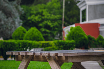 Fototapeta premium Bench to spend time enjoying nature and Friends