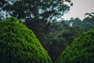 Bench to spend time enjoying nature and Friends