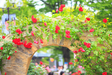 花のアーチ