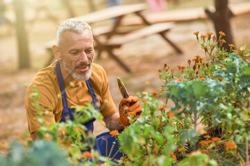 Middle aged caucasian businessman working with gardening tool