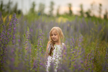 Little cute blonde girl on the field in the summer