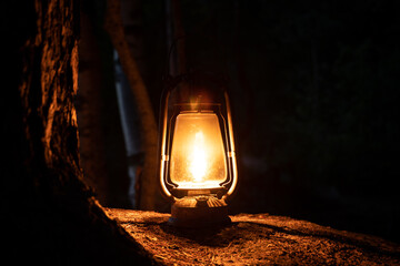 Mystical scene with old oil lamp in the forest. Vintage lantern lighting.  © raland