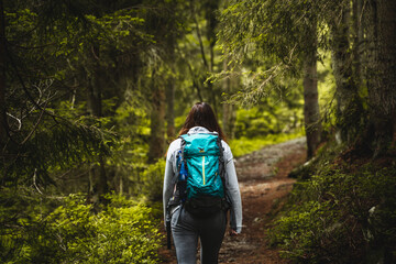 person in the forest