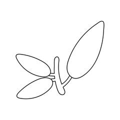 branch with leafs nature line style icon