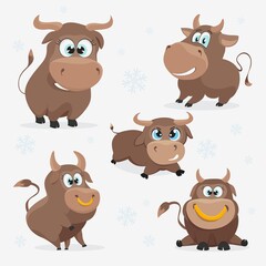 Collection of new year vector bulls to create a design. Funny Christmas bull.