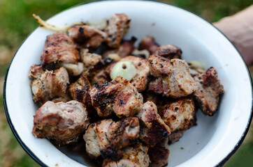 juicy barbecue meat in a white plate.soft focus