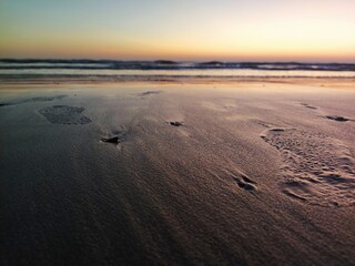 Silent ocean
