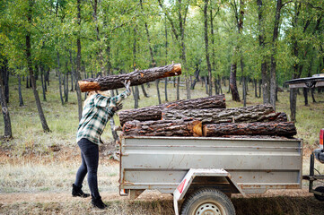 Woman dumping pine logs into trailer.