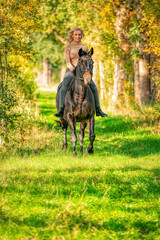 Beautiful blonde female horse rider on a horse without sadle, in the woods in the setting sun,...