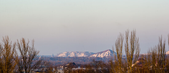 Winter urban frosty landscape - snow covered trees on foggy background