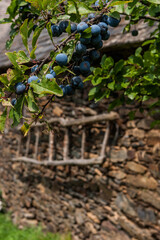 Biros en Pyrénées Ariègeoise