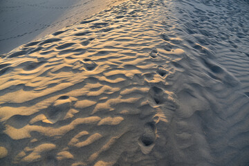 footprints of a man in the desert at sunset