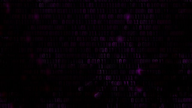 big bata stream code screen footage