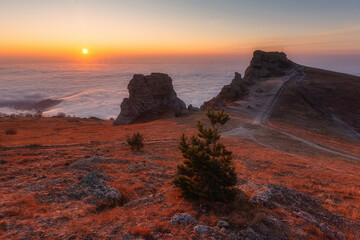 Beautiful autumn landscape in the mountains of Crimea. Sunrise. Crimea, mountain Demerdzhi.