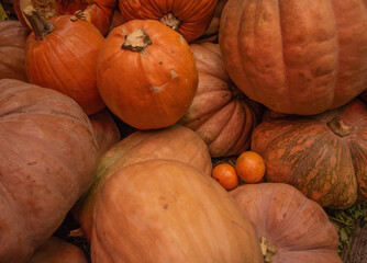 Orange pumpkins for the holiday of Hallowen and Dia de Muertos in Mexico, grouped in a traditional market in Mexico 2