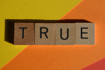 True, word in wooden alphabet letters isolated on colorful background