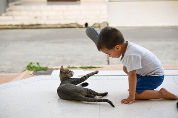 Niño jugando con gato gris con collar de paz y amor
