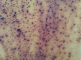 Rusty metal texture, rusty brown metal sheet.