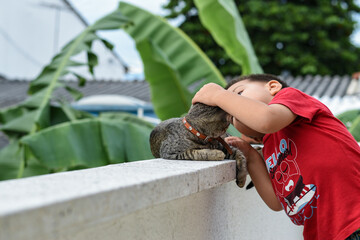 Niño jugando con gato gris con collar de paz y amor