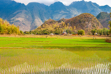 trip trough the north of Vietnam from Hanoi to the mountain village Sapa