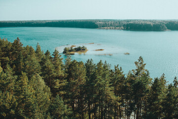 lake in the forest