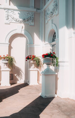 flowers in front of a house