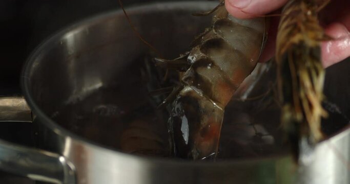 The man's hand puts raw shrimp in boiling water in pan. 