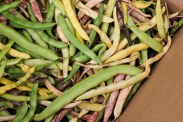 A pile of mixed beans in a cardboard box