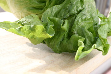 lettuce on chopping board