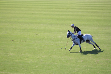 polo player in action on a green field