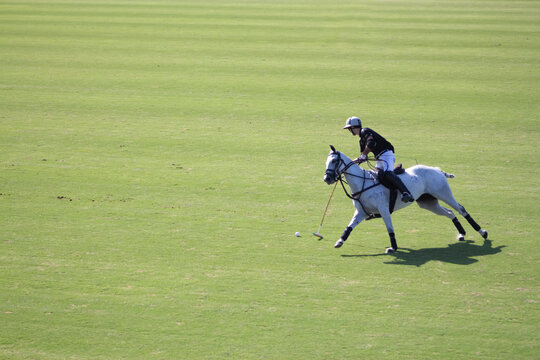polo player in action on a green field