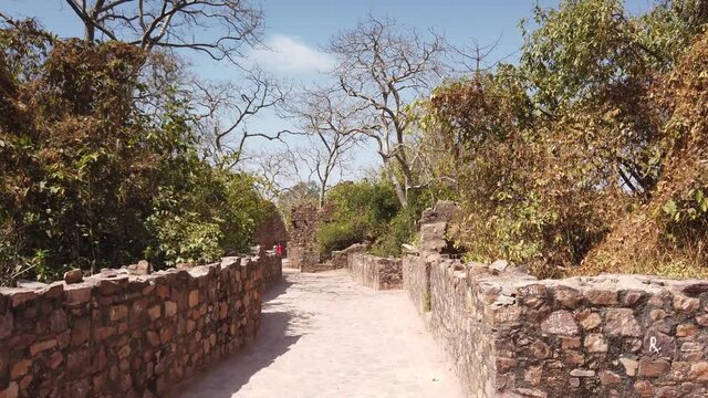 Tracking Shot Through Pathway at Ancient Ranthambore Fort at Ranthambore National Park, Rajasthan, India