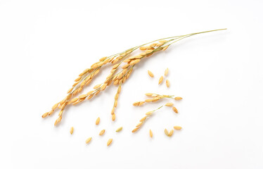 Ears of rice on a white background