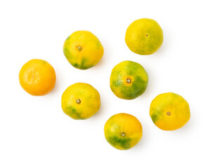 Early Japanese mandarin oranges on a white background