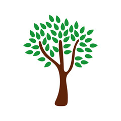 Fototapeta premium tree plant nature isolated icon