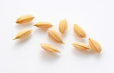 A grain of rice with a skin on a white background