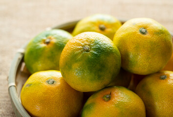 Early Japanese mandarin oranges placed in the background of burlap