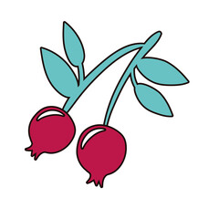 cherries fresh fruits nature icon