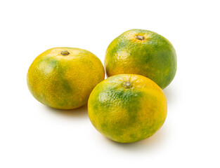 Early Japanese mandarin oranges on a white background