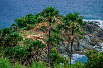 Natural high angle panoramic background With an atmosphere surrounded by mountains and trees, with a blurred wind, cool