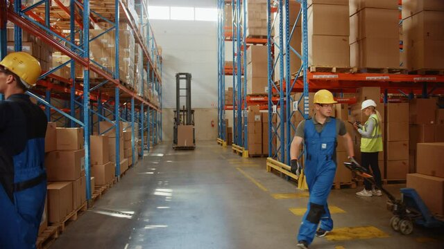 Retail Warehouse full of Shelves with Goods in Cardboard Boxes, Workers Scan and Sort Packages, Move Inventory with Pallet Trucks and Forklifts. Product Distribution Delivery Center. Static Shot