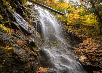 Fototapeta premium waterfall in autumn forest