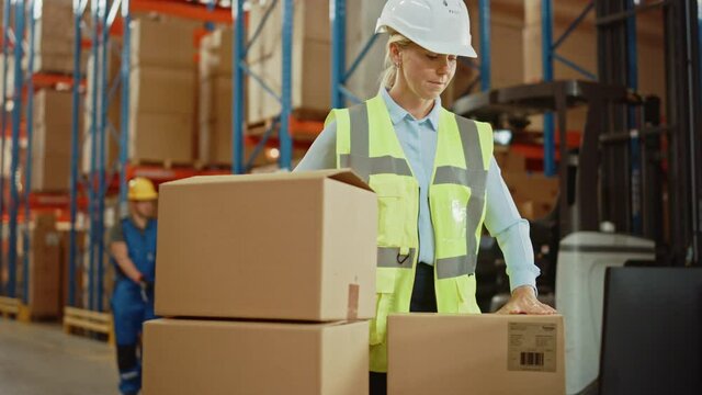 In Retail Warehouse Professional Worker Packing Parcel, Cardboard Box Sealed with Tape Dispenser Ready for Shipment. Delivery and Distribution Center Full of Shelves with Goods. Slow Motion