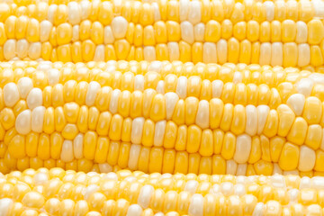 生トウモロコシのアップ