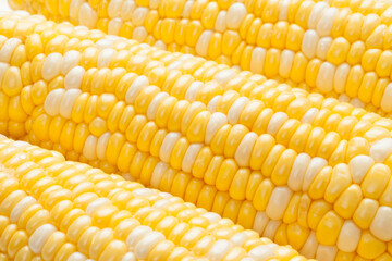 生トウモロコシのアップ