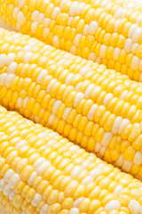 生トウモロコシのアップ